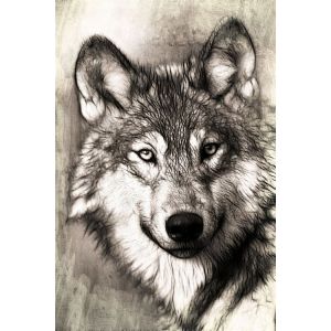 Fabulous Poster Dessin tete de loup noir et blanc (42cm x 63cm)