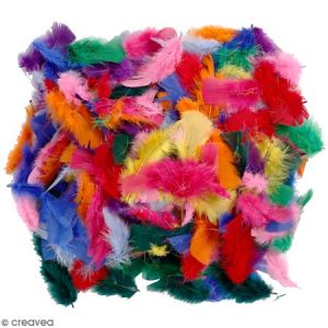 Creotime Plumes décoratives multicolores - 50 g