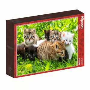 Puzzle de 1000 pièces Alipson Puzzle Groupe De Chatons