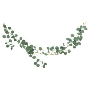 Ruedelafete Descente d'Eucalyptus 1m73, Vert