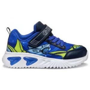 Geox J Assister Boy B Basket, Royal/Navy, 25 EU