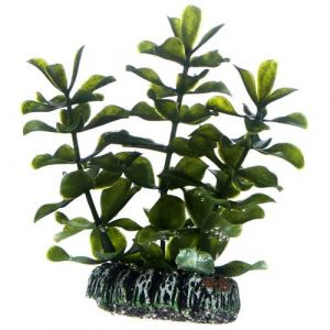 Hobby Bacopa | 7 cm