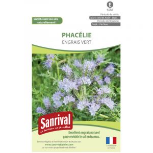 Graines Phacélie Engrais Vert