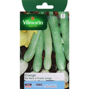 Vilmorin Courge de Nice a fruit long