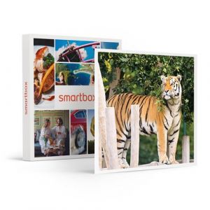 Smartbox Coffret Cadeau Journée à Bellewaerde de juillet à fin août pour 1 adulte-Sport & Aventure