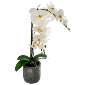 Image de Plante Artificielle "Orchidée" 62cm Blanc Prix