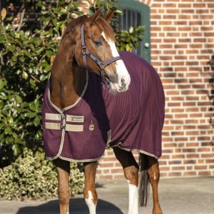 Chemise pour cheval Horseware Amigo Sheet
