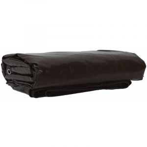 VidaXL B&acirc;che 650g / M&sup2; Marron 1,5 X 2 M Toile Avec Rev&ecirc;tement En Pvc