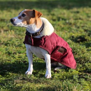 Manteau pour chien Kentucky Original 160g
