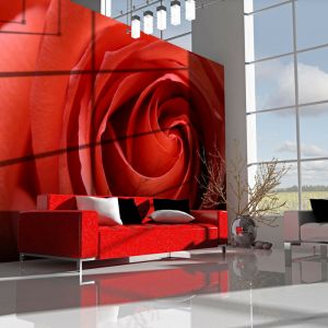 Artgeist Papier peint - L'éveil de la rose 250x193
