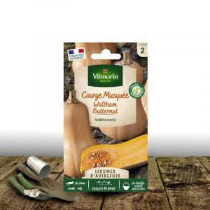 Graines de Courge Butternut Waltham - Vilmorin/Sachet