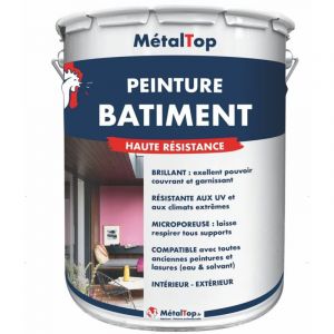 Peinture Batiment - Orange saumon - RAL 2012 - Pot 1L