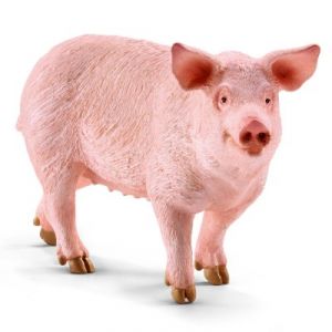 Schleich Figurine Cochon