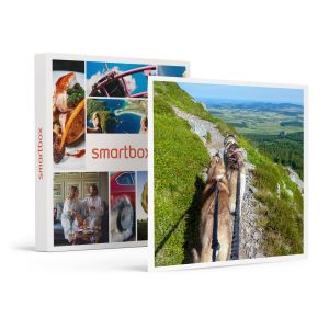 Image de Smartbox 3h30 de sortie en cani-rando avec des chiens nordiques dans les Monts d'Ardèche Coffret Cadeau Sport & Aventure Multicolore - Couleur Multicolore - Taille Taille unique