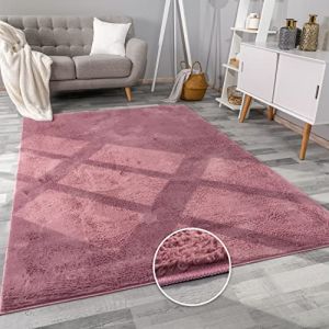 Tapis De Salon Fausse Fourrure Peluche Tapis Shaggy Long Lavable Divers Couleurs 60x90 cm, Violet Rose - Paco Home