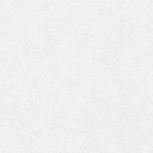 Erismann - Papier Peint Vinyle Expansé sur Intissé Loft Blanc réf. 6986-01