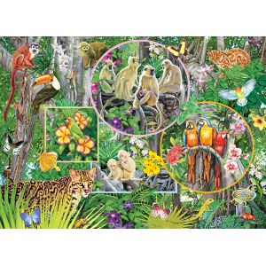 Cobble hill Magie de la Forêt Tropicale