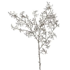 SIA Branche de Pin effet séché H109