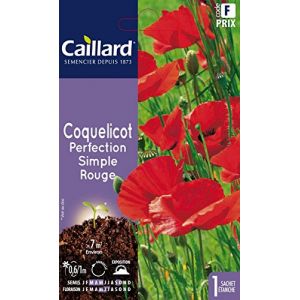 caillard Pfca20310 Graines De Coquelicot Perfection Simple Rouge