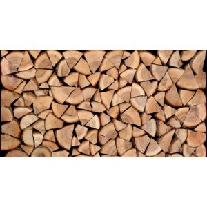 Plage Sticker Les b&ucirc;ches 160 cm x 80 cm