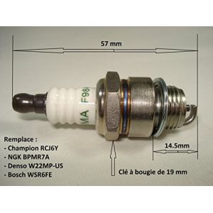 Jardiaffaires Bougie pour mat&eacute;riel de Jardin remplace NGK BPMR7A Champion RCJ6Y
