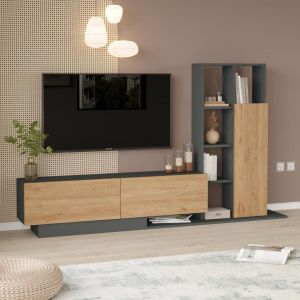 Meuble tv moderne avec armoire de rangement Berino Bois clair et Gris