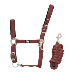 Supreme Ensemble licol en nylon et longe tressé pour cheval