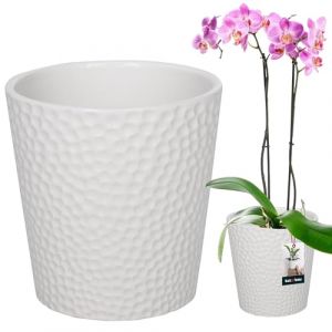 KOTARBAU Pot De Fleur Rond en Céramique Blanche ⌀ 9,5 cm |Cache Pot Céramique |Pot Céramique Plante |Pot De Fleur Céramique |Pot De Fleur en Céramique |Pot De Fleur Céramique |Pot pour Orchidées