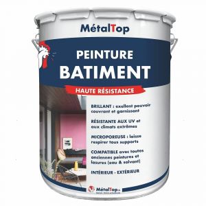 Peinture Batiment - Blanc perle - RAL 1013 - Pot 5L
