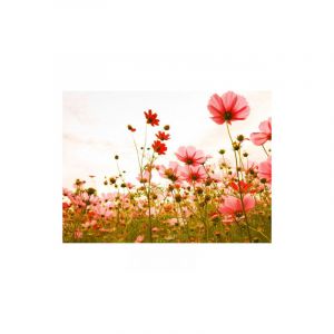 Livingwalls DD118598 Designwalls Papier peint mural intissé