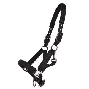 Licol pour cheval QHP Deluxe