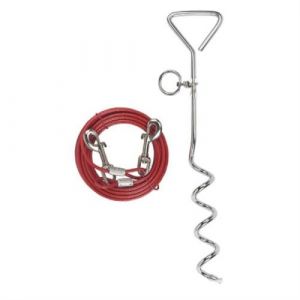Kerbl Laisse d attache avec ancrage spirale pour chien