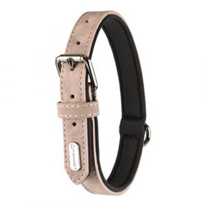 Collier taille M en simili cuir et néoprène DELU, couleur taupe pour chien Flamingo Pet Products FL 519317