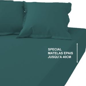 Drap-housse grand bonnet XL Coton Tertio - Vert émeraude