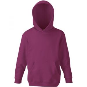 Fruit Of The Loom - Sweatshirt à capuche - Enfant (14-15 ans) (Bordeaux) - UTRW4839