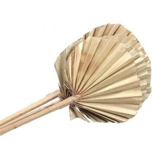 5 feuilles de palmier arrondies 45cm or - othmar trading 432232