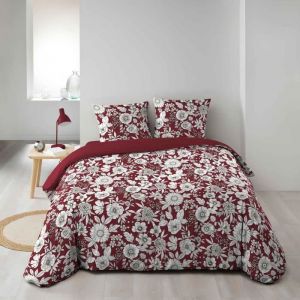 Housse de couette imprimée 240 x 220 cm + 2 taies 100% coton 52 fils Milady bordeaux