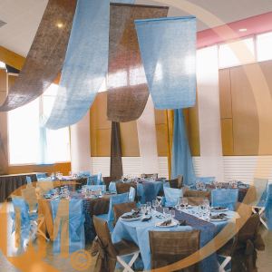 Tenture de salle (80 cm x 12 m)