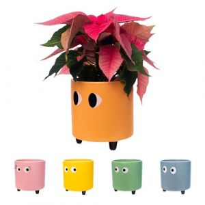 Fisura. - Pot de Fleurs Original avec Motif d'œil. Pot de Fleurs et de Plante décoratif. Jardinière décorative d'intérieur. Pot en céramique Orange pour Fleurs et Plantes Grasses.13 x 12,5 cm.