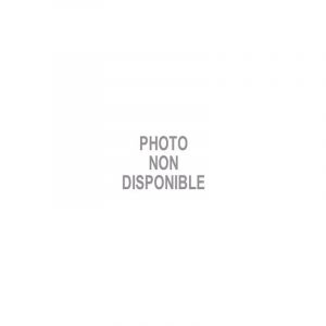 Scab kicloutou Agrafes 80 - 16mm Galva - Boite de 10000