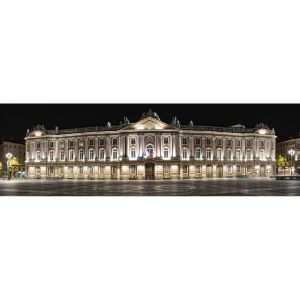 Ceanothe Tableau sur toile le capitole de nuit 30x97 cm