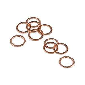 (Lot de 10) Joint de Vidange 16 x 22 pour C1 C2 C3 C4 C5 Jumper Picasso DS5 Berlingo Duster 1007 306 307 308 Partner