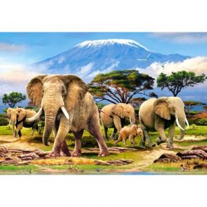 Castorland Kilimanjaro Morning - Puzzle 1000 pièces