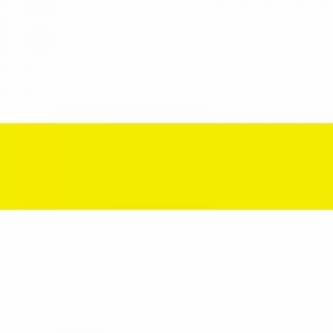 Copic Marqueur à alcool double pointe Marker New leaf YG23