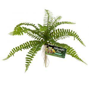 Zoo Med Decor sword fern bu-63e