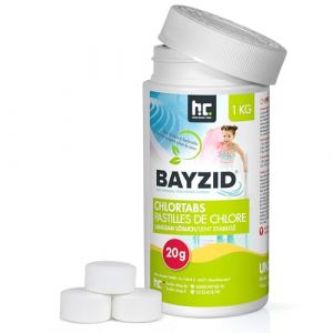Höfer Chemie 1x 1 kg Pastilles de chlore à dissolution lente de 20g Bayzid en boîte de 1 KG