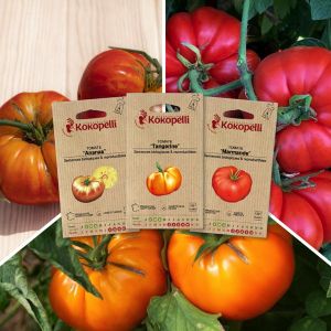 Sachet de graines bio &agrave; semer -Tomates pour salade - 3 sachets de graines bio &agrave; semer