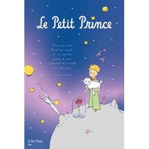 Grupo erik Poster Petit Prince