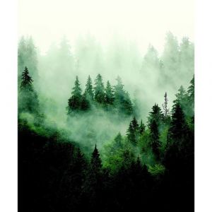 AG ART Papier peint foret Arbre et brouillard 225 x 270 cm