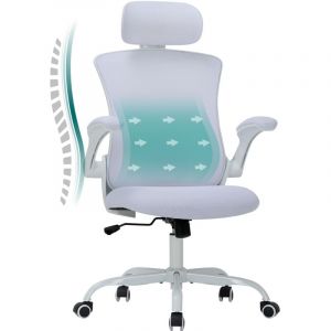 Colamy - Chaises de bureau - Chaise de bureau ergonomique – Dossier haut en mesh, soutien lombaire et appuie-tête réglables, accoudoirs